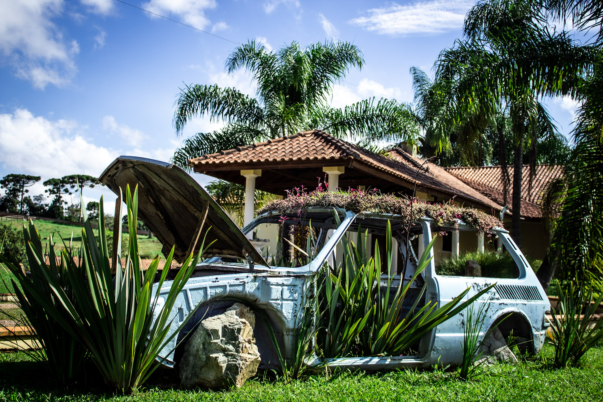 Galeria 8